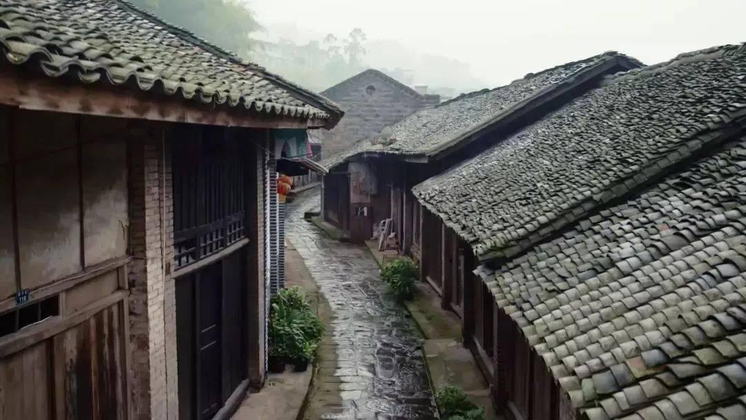 人生的意义是什么?-优质红迪网平台,分享你的精彩故事